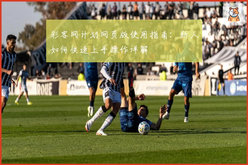 彩客网计划网页版使用指南：新人如何快速上手操作详解