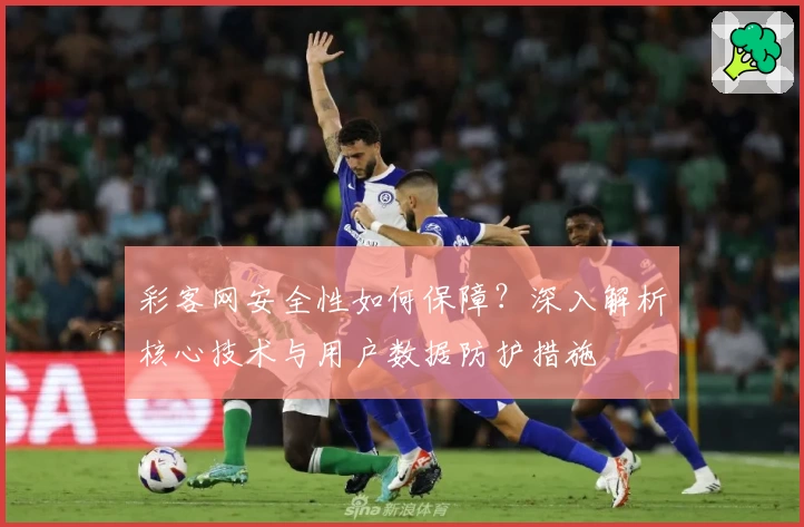 彩客网安全性如何保障？深入解析核心技术与用户数据防护措施