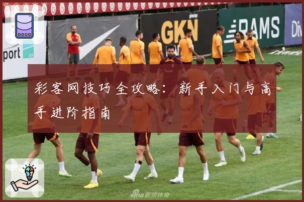 彩客网技巧全攻略:新手入门与高手进阶指南