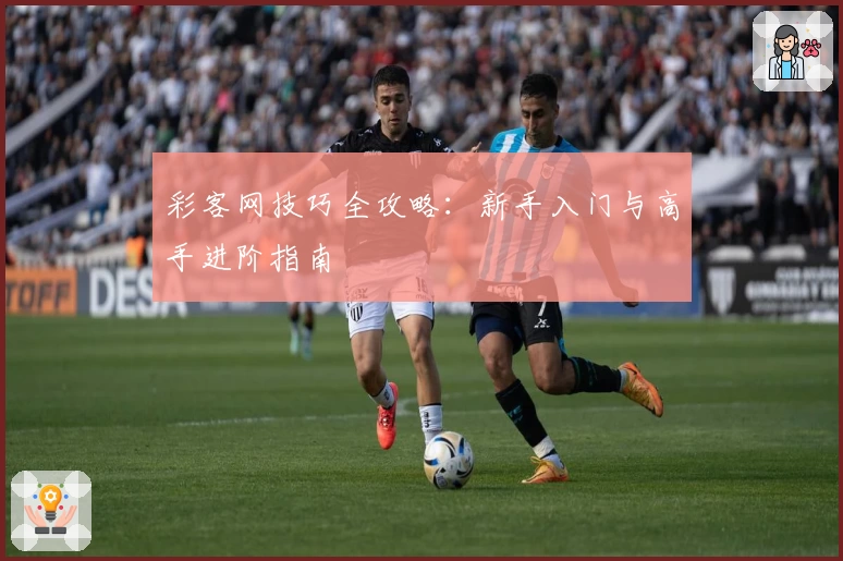 彩客网技巧全攻略：新手入门与高手进阶指南