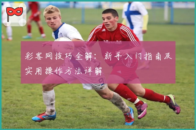 彩客网技巧全解：新手入门指南及实用操作方法详解