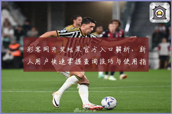 彩客网开奖结果官方入口解析，新人用户快速掌握查询技巧与使用指南