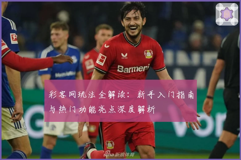 彩客网玩法全解读：新手入门指南与热门功能亮点深度解析